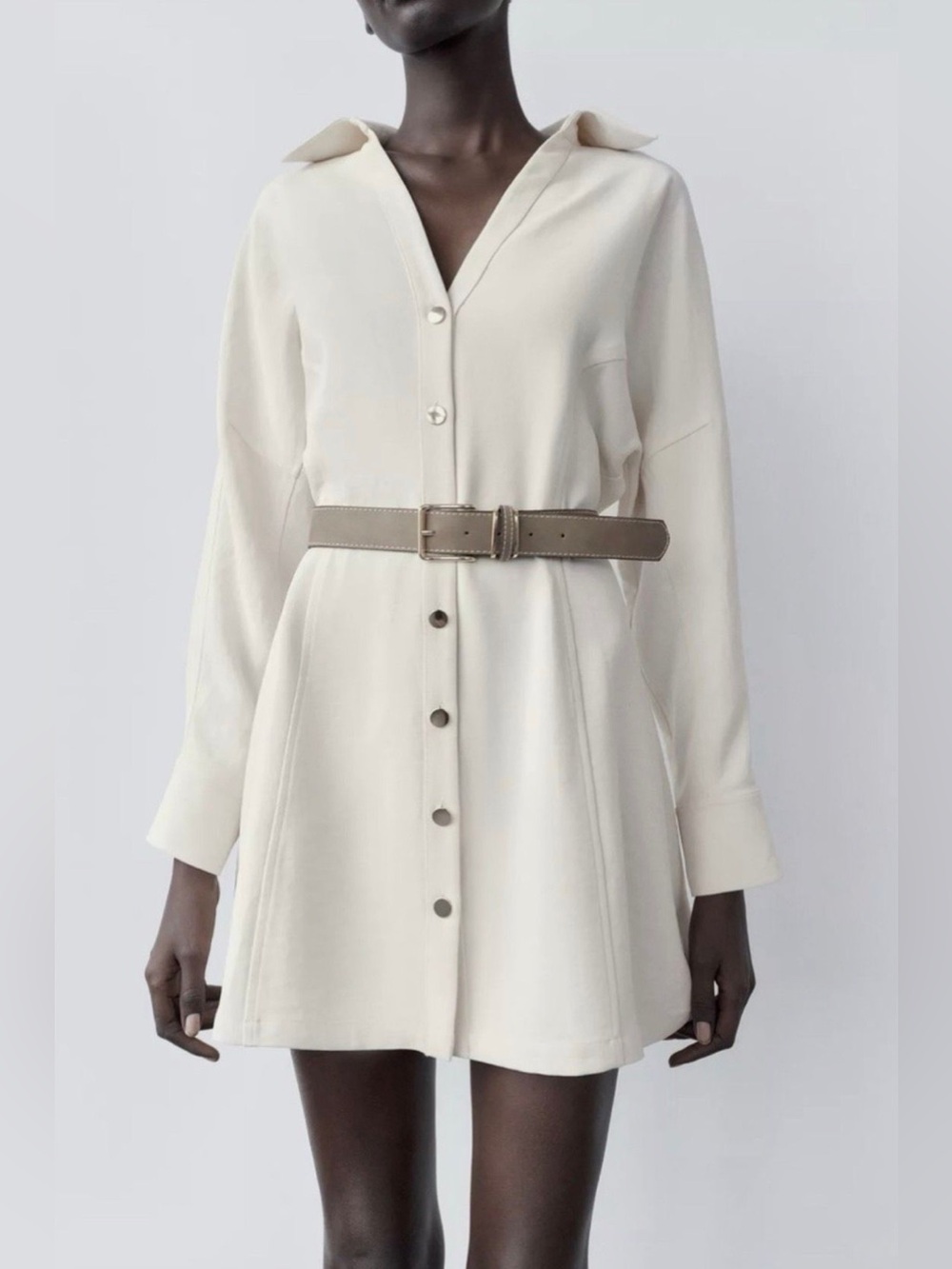 Zara Belted Dress